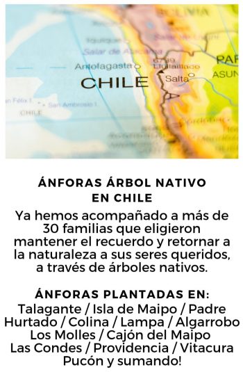 Anforas Árbol Nativo ecológicas biodegradables Chile