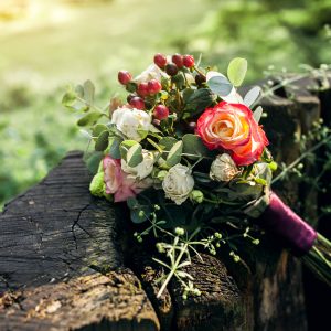 “Ciclo de vida Biofuneral: de ataúdes sostenibles a nuestra ánfora árbol nativo”