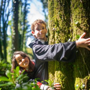 ¿Son realmente caros los funerales ecológicos?