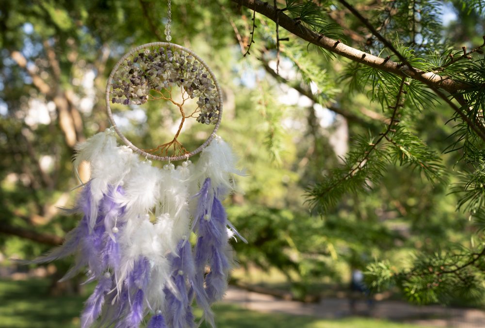 Funeral ecológico en Chile, ánfora árbol nativo Biofuneral