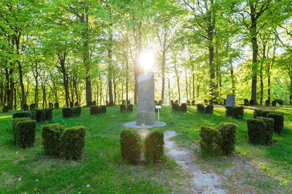 Sendero arbolado de un biocementerio, alternativa para plantar un árbol nativo con cenizas, Recoleta e Independencia