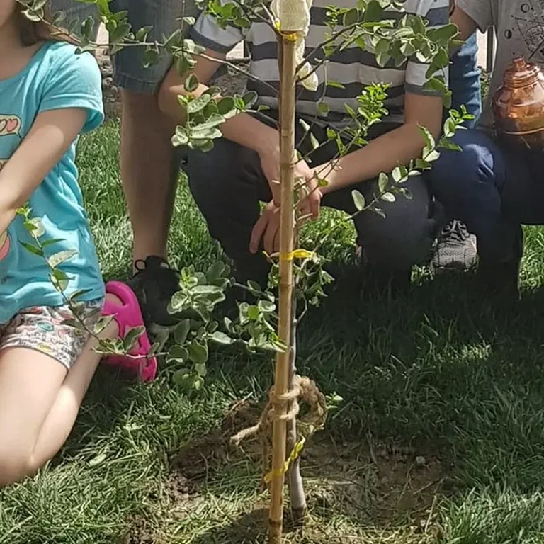 Familia con niños plantando un árbol nativo con el Ánfora Árbol Nativo