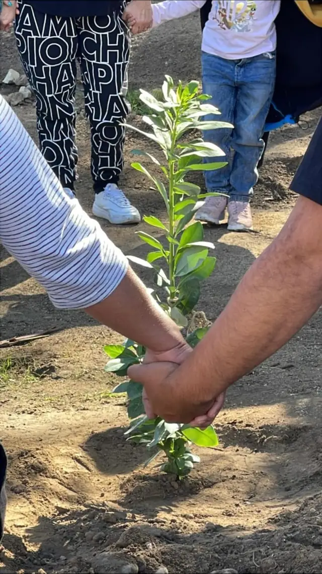 Familia plantando la Ánfora Árbol Nativo de Biofuneral, ceremonia de urna biodegradable con árbol vivo en Chile